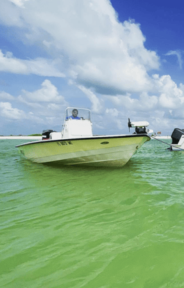 Inshore Fishing Trip