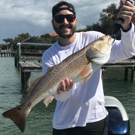 Inshore Fishing Trip
