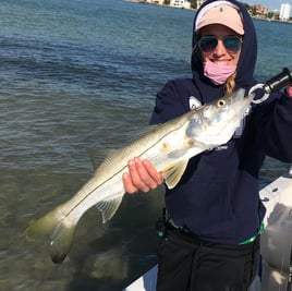 Inshore Fishing Trip