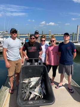 Half Day Trip – Nearshore Trolling