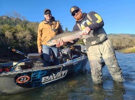 Winter Steelhead