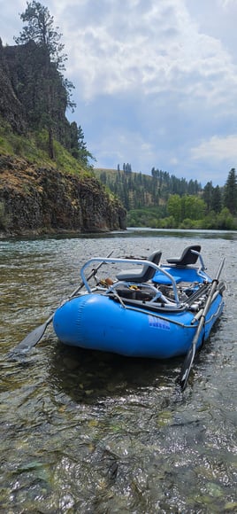 Streamer Fishing For Trophy Trout