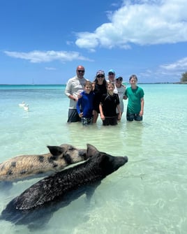Swimming Pigs Adventure