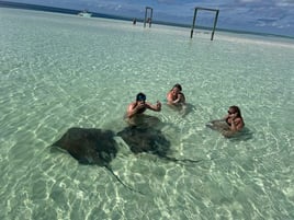 Sting Ray Encounters