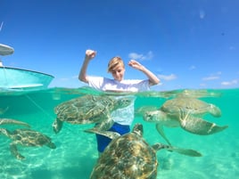 Swim With The Turtles