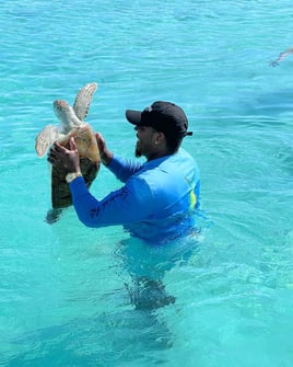 Swim With The Turtles