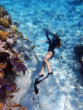 Lighthouse Beach & Snorkel Excur