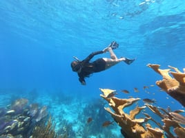 Lighthouse Beach & Snorkel Excur