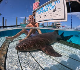 Escape To Exuma