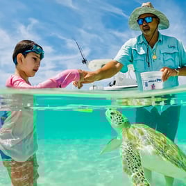 Boat Excursions Or Deep Sea Fishing