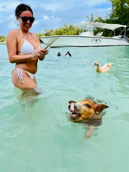 Boat Excursions Or Deep Sea Fishing