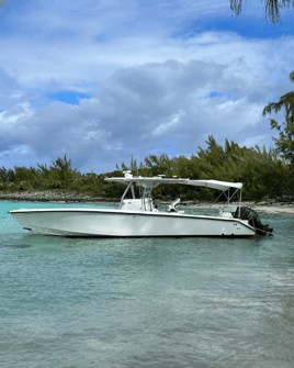Boat Excursions