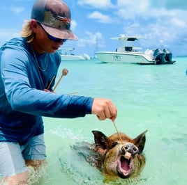 Boat Excursions Or Deep Sea Fishing