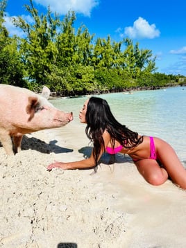 Boat Excursions Or Deep Sea Fishing