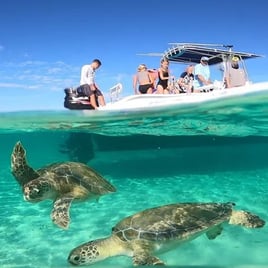 Boat Excursions Or Deep Sea Fishing