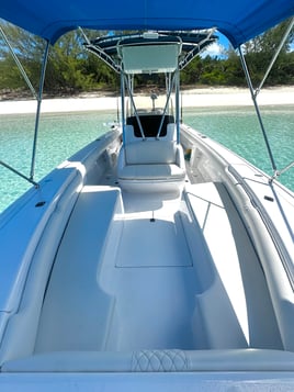 Private Charter - 29' Intrepid