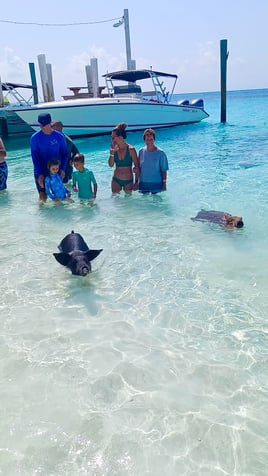 4-8 Hours Trip - Sea Wing