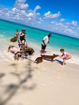 4-8 Hours Trip - Sea Wing