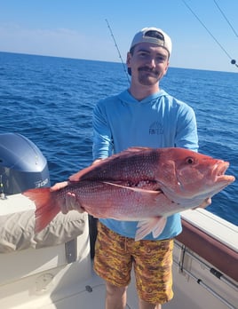 6 Hour Trip – Bottom Fishing