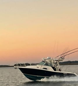 6 Hour Trip – Bottom Fishing