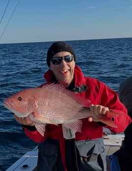 6 Hour Trip – Bottom Fishing