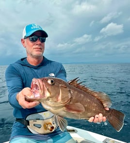 5-9 Hours Offshore Trip - 27’ Dusky