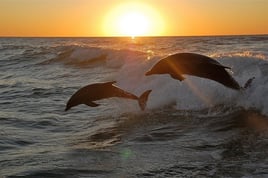 3h Private Sunset Boat Tour