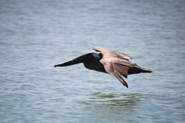 3-7 Hour Private Boat Tour