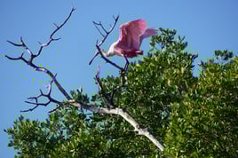 3-7 Hour Private Boat Tour