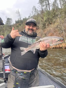 Guided Steelhead Trips