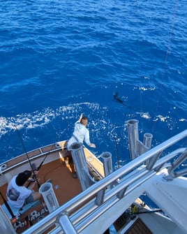 Sport Fishing KEy West