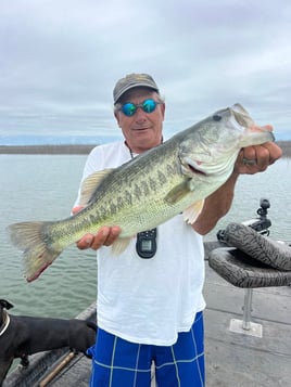 Bass Fishing Trip