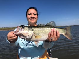 Bass Fishing Trip