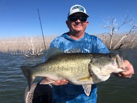Bass Fishing Trip