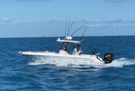 4 Hour Trip – Reef & Wreck 