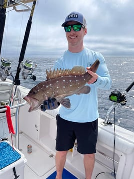 4 Hour Trip – Reef & Wreck 