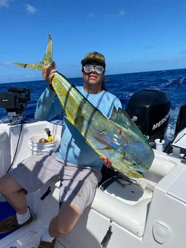6-8 Hour Trip – Reef & Offshore