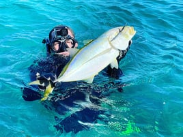 Spearfishing & Fishing