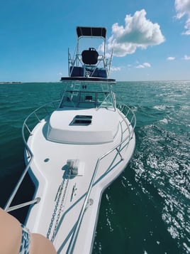 Spearfishing & Fishing