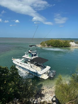 Spearfishing & Fishing