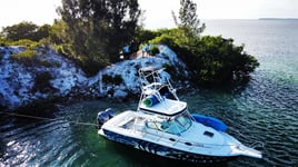 Spearfishing & Fishing