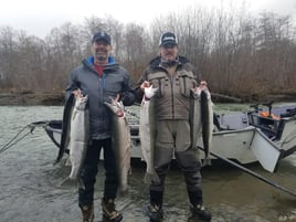 Coastal Winter Steelhead 