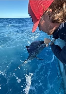 4-8 Hour Offshore Trip