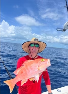 4-8 Hour Offshore Trip