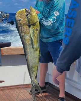 Palm Beach Offshore Trip