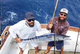 4-8 Hour Offshore Trip