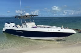 4-8 Hour Offshore Trip