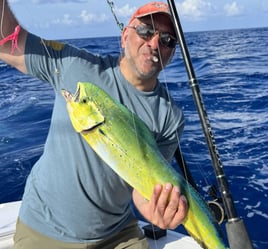 4-8 Hour Offshore Trip