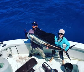 4-8 Hour Offshore Trip