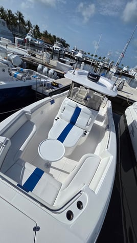 Luxury Sunset Cruise 